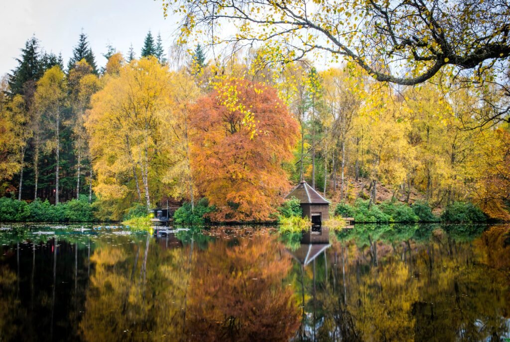 Autumn forest and loch at Faskally Wood in Perthshire