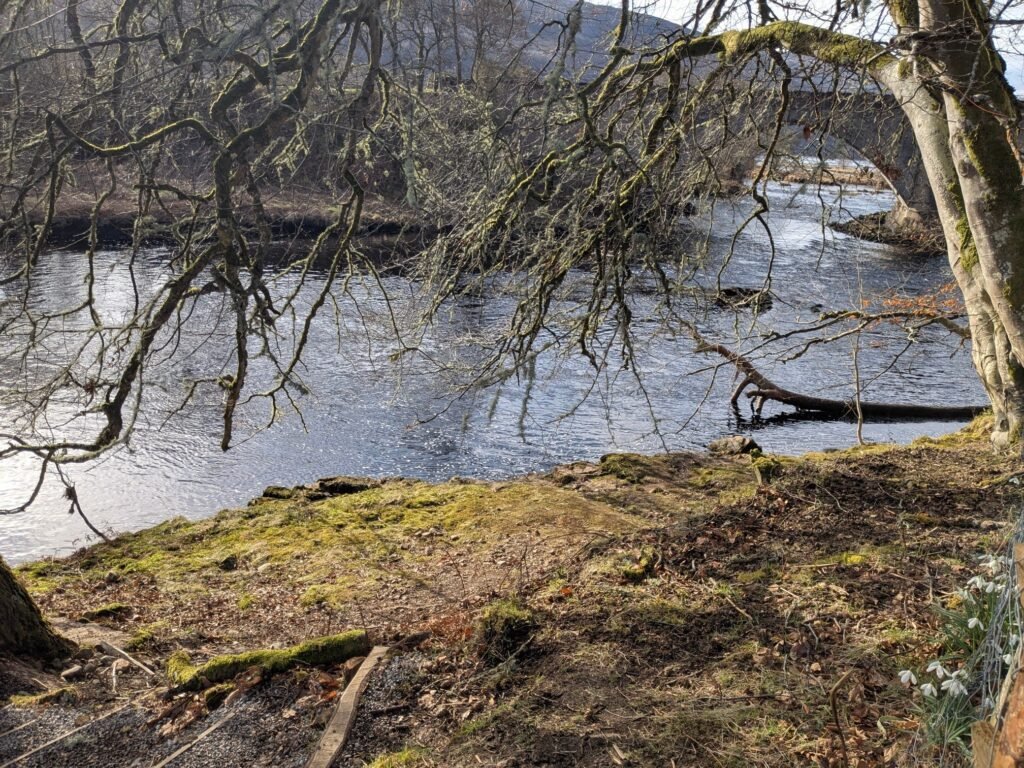 River beside Great Glen Sauna surrounded by trees, used for cooling off in the Scottish Highlands