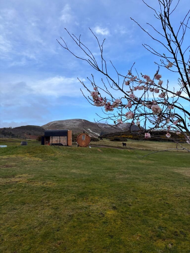 Wide view of Pentland View Outdoor Sauna set within the Pentland Hills landscape in Edinburgh
