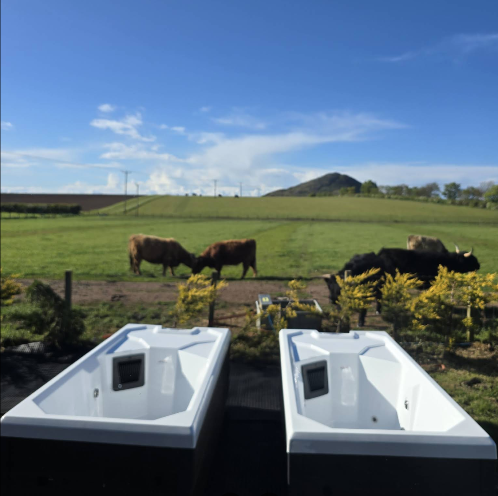 BYRE at Balgone sauna cold plunge baths with highland cows and North Berwick Law in the background