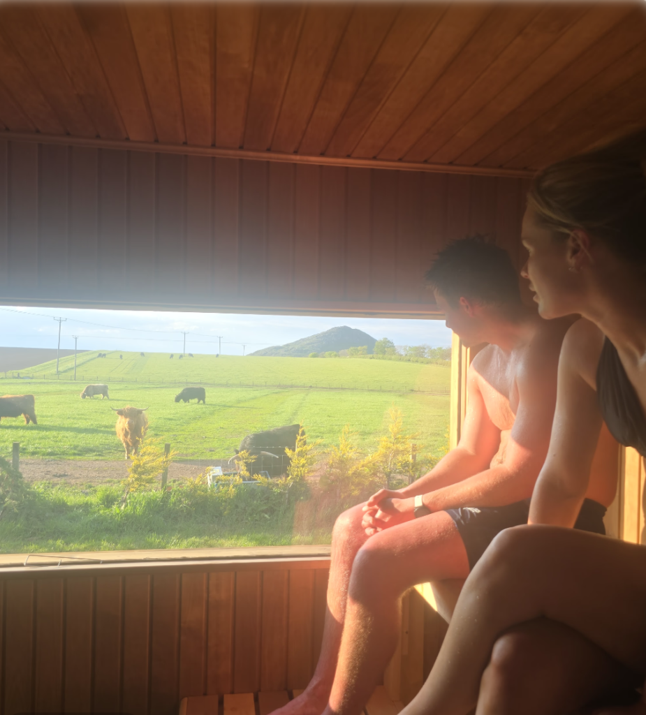 Inside BYRE at Balgone sauna looking out at highland cows grazing with North Berwick Law in the background