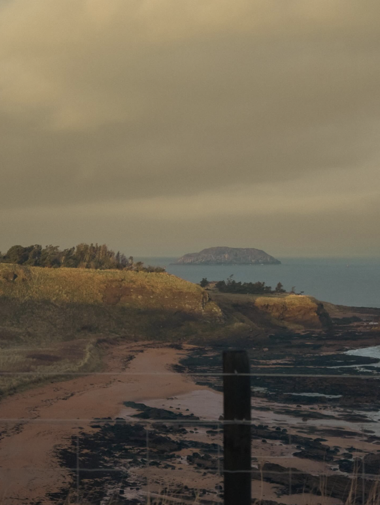 Escape Sauna North Berwick coastal setting on the Firth of Forth with both saunas visible