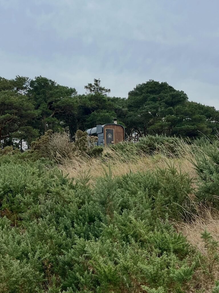 Horsebox Sauna Fife on a hillside from a distance surrounded by green forest