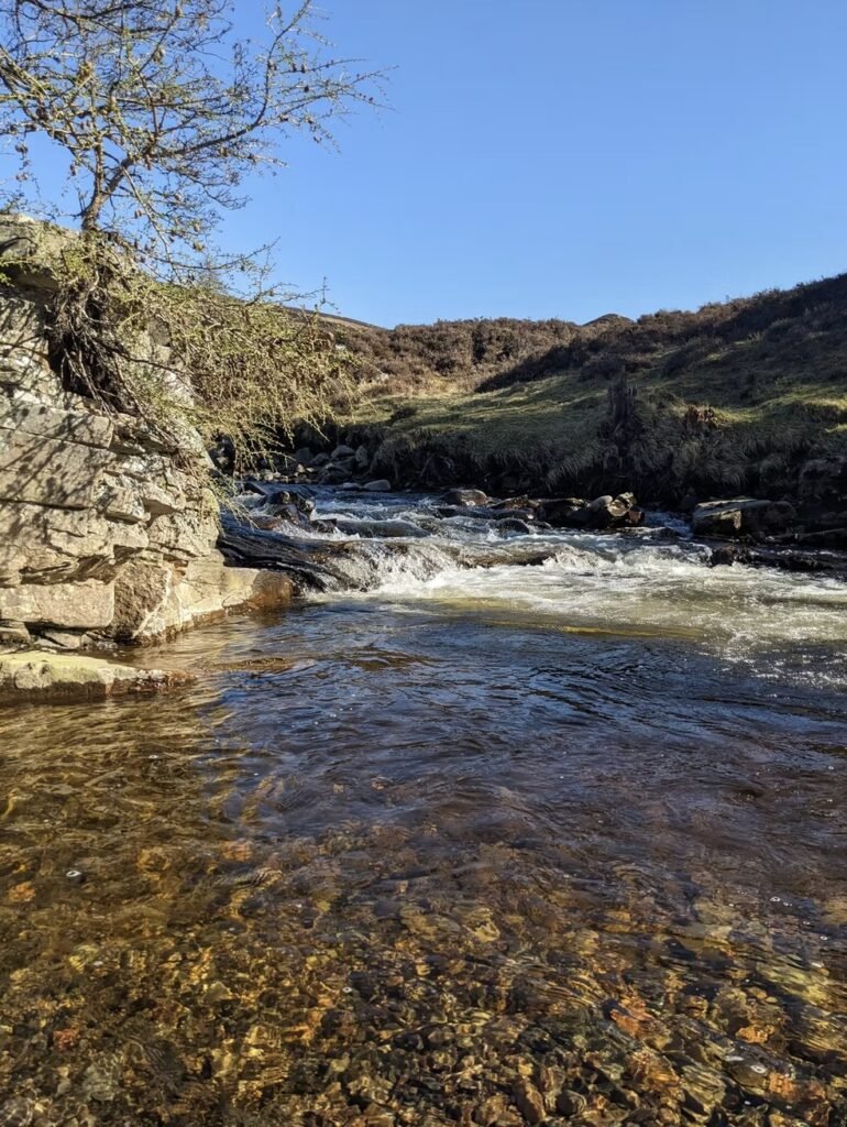 Wild Braemar Wilderness Sauna