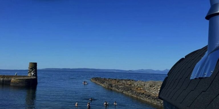 Wild Ritual Sauna Dunure exterior overlooking Dunure harbour